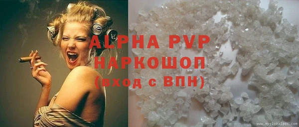 сатива Ельня