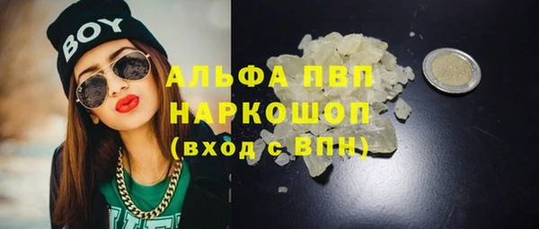 молекула духа Гусев