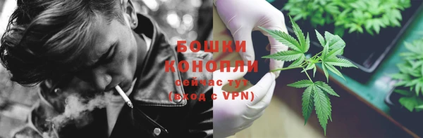 сатива Ельня