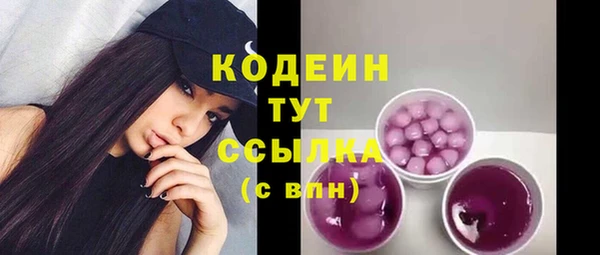 молекула духа Гусев