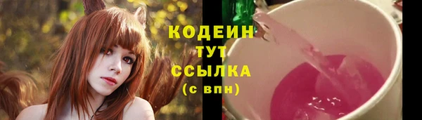 сатива Ельня