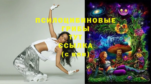 молекула духа Гусев