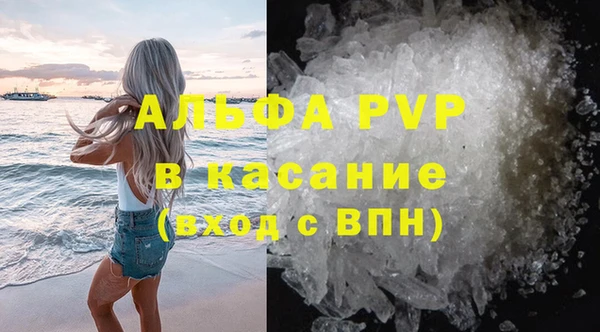 сатива Ельня