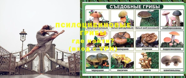 сатива Ельня