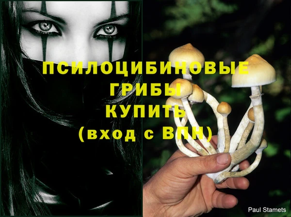 мескалин Елабуга