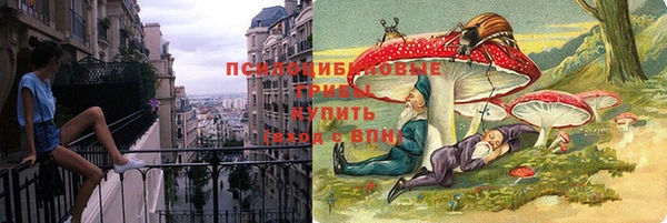 мяу мяу мука Гусиноозёрск