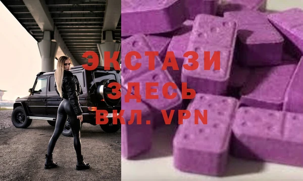 сатива Ельня