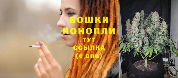 мяу мяу мука Гусиноозёрск