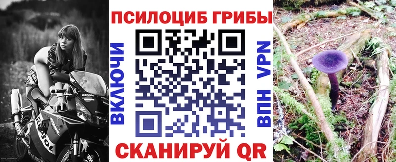 Псилоцибиновые грибы Psilocybe наркотики Нефтекамск